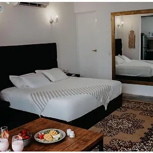 elixir-homes-tulum.quintano-roohotels.com/
