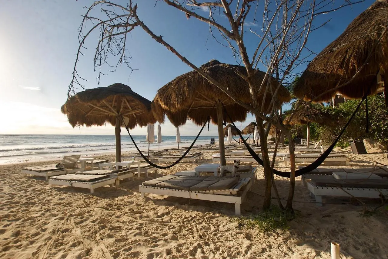 ****  Hotel Zulum Tulum México