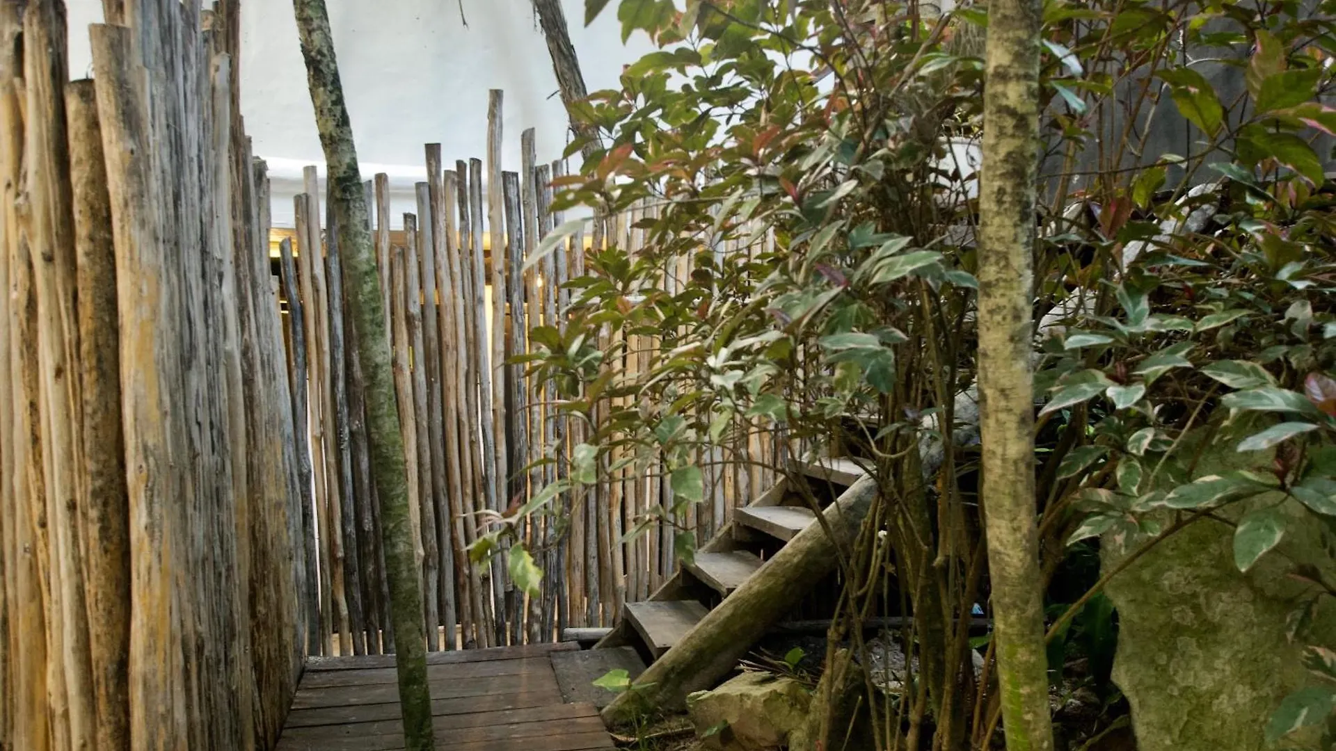 Hotel Zulum Tulum Mexico